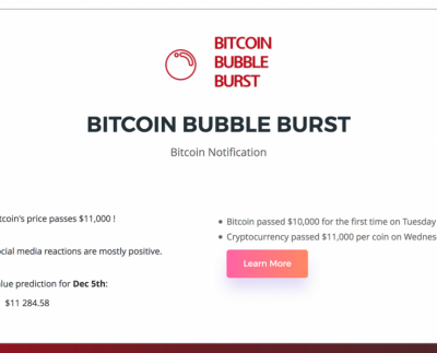 Bitcoin Bubble Burster predicts the Bitcoin value and crash