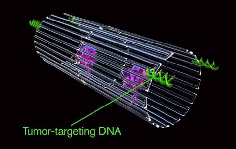 Cancer-fighting Nanorobots seek and destroy tumours