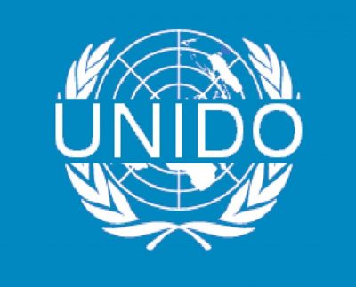 Consultative session held on Energy Efficiency arranged by UNIDO jointly with Prime Minister’s task force on energy reforms