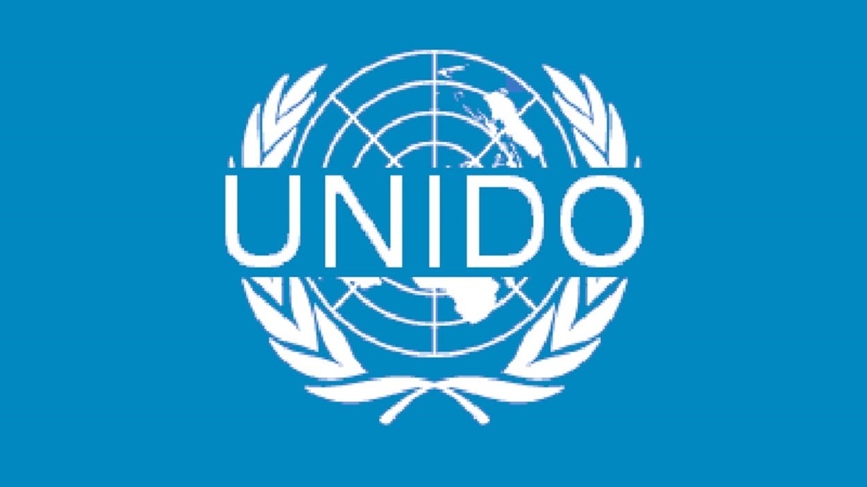 Consultative session held on Energy Efficiency arranged by UNIDO jointly with Prime Minister’s task force on energy reforms